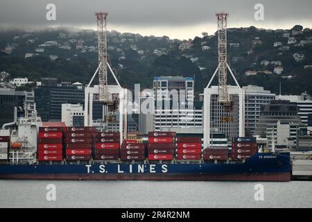 WELLINGTON, NEUSEELAND, 16. MAI 2023: Das Containerschiff TS Qingdao wird im Hafen von Wellington entladen Stockfoto