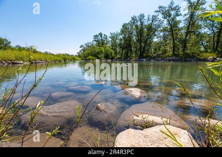 Der Bow River in Calgary, Alberta, ist im Sommer von einem abgeschiedenen Teich umgeben, der im Frühling in der Stadt zu sehen ist. Stockfoto