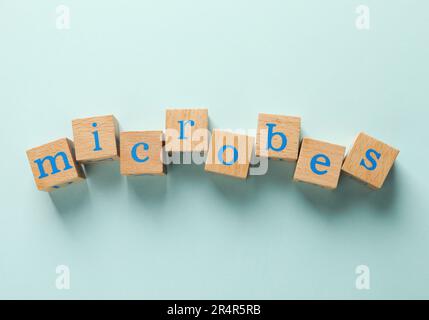 Wortmikroben aus Holzwürfeln auf farbigem Hintergrund, flach liegend Stockfoto