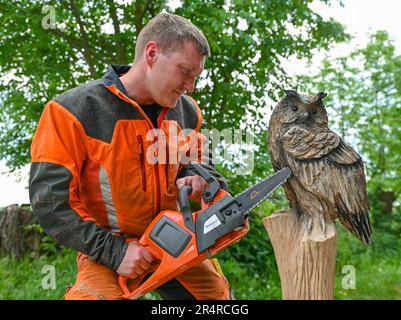 Heinersdorf, Deutschland. 23. Mai 2023. Christian Mücke, Kettensägenkünstler, arbeitet an einer Adlereule aus Holz. Speedcarving ist der Name, der der Motorsägenkunst gegeben wird, in der Skulpturen aus Baumstämmen in einer bestimmten Zeit erstellt werden. Und es scheint immer mehr Anhänger zu gewinnen. Seit zehn Jahren treten die Besten bei den deutschen Meisterschaften an. Eine Qualifikationsrunde findet jetzt in Brandenburg statt. (An dpa-Korr: 'Schnell und geschickt mit scharfer Säge') Kredit: Patrick Pleul/dpa/Alamy Live News Stockfoto