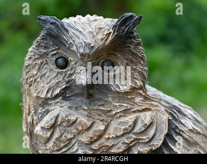 Heinersdorf, Deutschland. 23. Mai 2023. Eine Adlereule aus Holz vom Kettensägenkünstler Christian Mücke. Schnitzerei ist der Name der Kunst der Kettensäge, in der Skulpturen aus Baumstämmen in einer bestimmten Zeit geschaffen werden. Und es scheint immer mehr Anhänger zu gewinnen. Seit zehn Jahren treten die Besten bei den deutschen Meisterschaften an. Eine Qualifikationsrunde findet jetzt in Brandenburg statt. (An dpa-Korr: 'Schnell und geschickt mit scharfer Säge') Kredit: Patrick Pleul/dpa/Alamy Live News Stockfoto