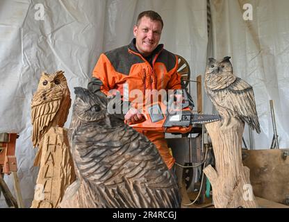 Heinersdorf, Deutschland. 23. Mai 2023. Christian Mücke, Kettensägenkünstler, arbeitet an einer Eule aus Holz in seiner Werkstatt. Speedcarving ist der Name, der der Motorsägenkunst gegeben wird, in der Skulpturen aus Baumstämmen in einer bestimmten Zeit erstellt werden. Und es scheint immer mehr Anhänger zu gewinnen. Seit zehn Jahren treten die Besten bei den deutschen Meisterschaften an. Eine Qualifikationsrunde findet jetzt in Brandenburg statt. (An dpa-Korr: 'Schnell und geschickt mit scharfer Säge') Kredit: Patrick Pleul/dpa/Alamy Live News Stockfoto