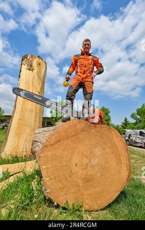 Heinersdorf, Deutschland. 23. Mai 2023. Christian Mücke, Kettensägenkünstler, steht mit einer Kettensäge auf einem großen Eichenstamm. Schnitzerei ist der Name, der der Motorsägenkunst gegeben wird, in der Skulpturen aus Baumstämmen in einer bestimmten Zeit erstellt werden. Und es scheint immer mehr Anhänger zu gewinnen. Seit zehn Jahren treten die Besten bei den deutschen Meisterschaften an. Eine Qualifikationsrunde findet jetzt in Brandenburg statt. (An dpa-Korr: 'Schnell und geschickt mit scharfer Säge') Kredit: Patrick Pleul/dpa/Alamy Live News Stockfoto