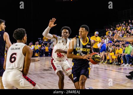 Edmonton, Kanada. 28. Mai 2023. Edmontons (11) Nick Hornsby spaltet die Verteidigung von Calgary während der Eröffnungssaison der Edmonton Stingers 2023 gegen die Calgary Surge. Calgary Surge 82 -81 Edmonton Stingers (Foto: Ron Palmer/SOPA Images/Sipa USA) Kredit: SIPA USA/Alamy Live News Stockfoto