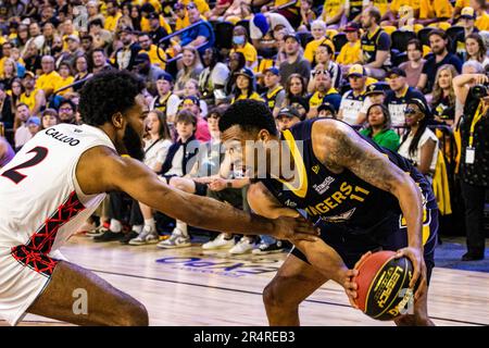 Edmonton, Kanada. 28. Mai 2023. Edmontons (11) Nick Hornsby fordert den Verteidiger von Calgary (2) Maurice Calloo während der Eröffnungssaison der Edmonton Stingers 2023 gegen den Calgary Surge heraus. Calgary Surge 82 -81 Edmonton Stingers (Foto: Ron Palmer/SOPA Images/Sipa USA) Kredit: SIPA USA/Alamy Live News Stockfoto