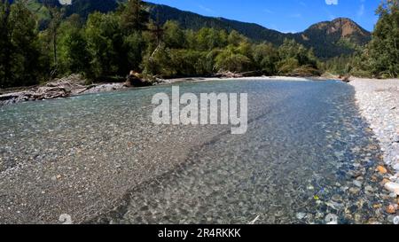 Winziger, klarer, kalter Fluss mit Kieselsteinen im Arkhyz-Gebirge - Foto der Natur Stockfoto