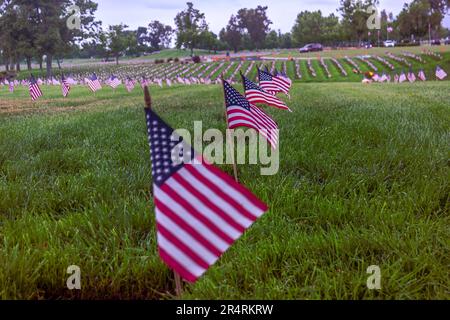 Ein rührendes Foto mit amerikanischen Flaggen an den Veteranengräbern auf dem Riverside National Cemetery, das mit einer fesselnden, flachen Schärfentiefe ausgestellt ist Stockfoto