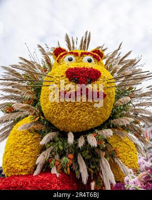 Noordwijk, Niederlande - 22. April 2023: Die traditionelle Blumenparade Bloemencorso von Noordwijk nach Haarlem in den Niederlanden. Stockfoto