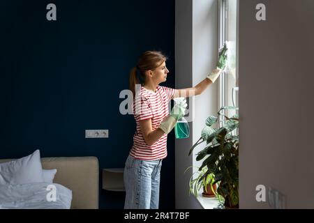 Fokussierte Frau waschen Fenster Glas tragen Latexhandschuhe Verwenden Sie umweltfreundliche sichere Reinigungsprodukte für Zuhause Stockfoto