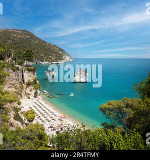 Wunder an der Küste: Fesselnde italienische Meereslandschaft mit Faraglioni di Apulien in Baia delle Zagare, Adria-Bucht von Mattinata, Italien Stockfoto