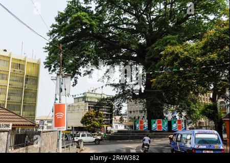 SIERRA LEONE, Freetown, Stadtzentrum, City Center, Einkaufsstraße und großer Baumwollbaum, der alte Baumwollbaum ist ein nationales Symbol für Freiheit und gegen Sklaverei Stockfoto