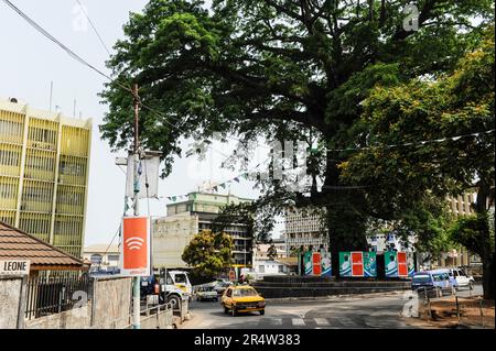 SIERRA LEONE, Freetown, Stadtzentrum, City Center, Einkaufsstraße und großer Baumwollbaum, der alte Baumwollbaum ist ein nationales Symbol für Freiheit und gegen Sklaverei Stockfoto