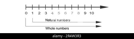 Ganzzahlen in Zahlenzeile mit positiven Zahlen und Null. Mathematikdiagramm für Additions- und Subtraktionsoperationen in der Schule isoliert auf weißem Hintergrund Stock Vektor