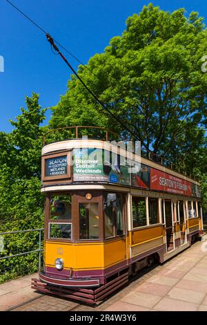 Doppeldeckerbahn Nr. 10 10, Seaton Tramway Electric, fährt im Mai zwischen Seaton und Colyton in Devon, Großbritannien Stockfoto