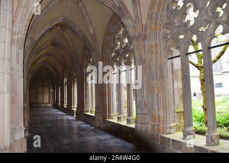 Utrecht, Niederlande. Mai 2023. Das Kloster der Dom-Kirche in Utrecht. Hochwertiges Foto Stockfoto