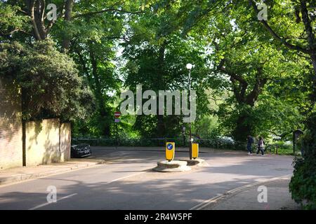 Die Sonne scheint im Mai 2023 durch die Bäume in Kenwood, Hampstead Heath, North London, und schafft einen schönen Kontrast zwischen Licht und Schatten Stockfoto