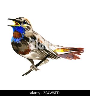 Eine Vogelhand in Aquarellfarbe, isoliert auf weißem Hintergrund. Aquarelldarstellung. Aquarell-Vogel. Stockfoto