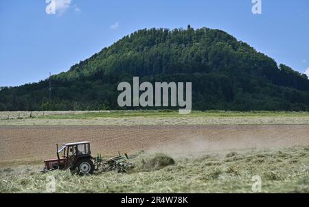 Waldstetten, Deutschland. 30. Mai 2023. Ein Landwirt dreht mit seinem Traktor Mähgras. Wetter in Baden-Württemberg. Nach Angaben des deutschen Wetterdienstes soll es sonnig und trocken bleiben. Ideale Bedingungen für das Einbringen von Heu. Kredit: Jan-Philipp Strobel/dpa/Alamy Live News Stockfoto