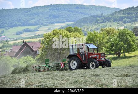 Waldstetten, Deutschland. 30. Mai 2023. Ein Landwirt dreht mit seinem Traktor Mähgras. Wetter in Baden-Württemberg. Nach Angaben des deutschen Wetterdienstes soll es sonnig und trocken bleiben. Ideale Bedingungen für das Einbringen von Heu. Kredit: Jan-Philipp Strobel/dpa/Alamy Live News Stockfoto