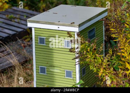 Ein hoher Holzbienenstock in Grün und Weiß, gemalt wie ein Haus zwischen immergrünen Bäumen auf einer Plattform als Hobbyfarm. Honigbienen fliegen herum Stockfoto