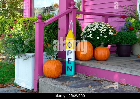 Orangefarbene Kürbisse auf einer Betonstufe einer leuchtend pinkfarbenen Holztreppe eines Blumenladens. Es gibt Pflanzen, Töpfe und Blumen am Eingang zum Geschäft. Stockfoto