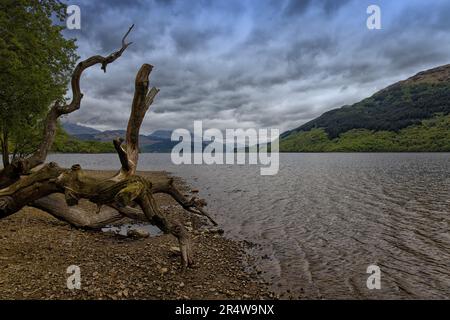 Schottland und seine Lochs Stockfoto