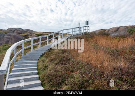 Eine lange, aus Holz gebogene Treppe auf einem felsigen Hügel mit einem Handlauf aus Holz. Die Stufen sind niedrig. Der Boden ist felsig mit Sträuchern und Moos Stockfoto