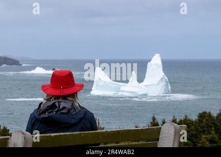 Eine Frau sitzt auf einer Bank und trägt einen lebendigen roten Hut und eine schwarze Jacke mit Blick auf einen großen weißen Gletschereisberg, der im kaltblauen Atlantik schwebt Stockfoto