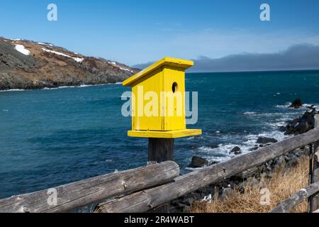 Ein lebhaftes gelbes, hausgemachtes Vogelhaus aus Holz oder eine Nistbox auf einem Stab, der an einem Holzzaun befestigt ist, mit dem Ozean im Hintergrund. Stockfoto