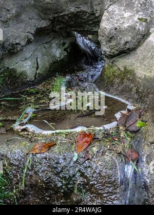 Faszinierender kleiner städtischer Wasserfall im Parc des Buttes-Chaumont aus nächster Nähe. Intime Naturlandschaft in Paris, Frankreich Stockfoto