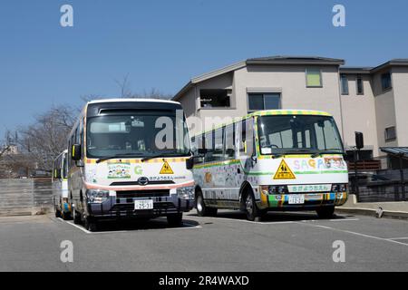 Kyoto, Japan. 7. März 2023. Schulbusse für eine Grundschule, um kleine Kinder zu einer lokalen frühkindlichen Schule zu bringen.Kyoto (ä°¬éƒ½) ist eine historische Großstadt Japans, reich an kulturellem Erbe und traditionellem Charme. Bekannt für seine berühmten Tempel, malerischen Gärten und historischen Wahrzeichen wie Kinkaku-ji und Fushimi Inari Taisha, bietet Kyoto einen Einblick in Japans Vergangenheit. Die lebhaften Festivals, die exquisite Küche und die ruhige Atmosphäre begeistern Besucher aus der ganzen Welt. Es ist ein geschäftiger Knotenpunkt für die japanische Tourismusbranche und beherbergt viele Unternehmen wie Nintendo. Japanisch Stockfoto