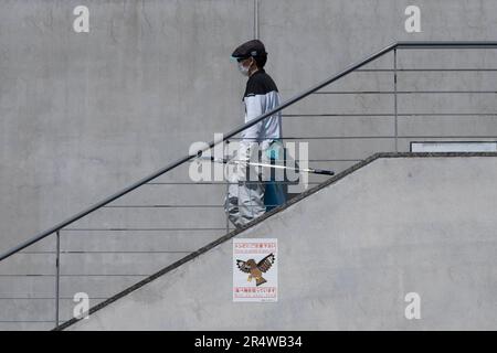 Kyoto, Japan. 7. März 2023. Ein Fensterputzer, der¬éƒ½é Kyoto Station die Treppe hinuntergeht, vorbei an einem Schild, das vor Falken warnte. Kyoto Station (ä° 2…) Wird von der West Japan Railway Company (JR West) betrieben und ist ein wichtiger Knotenpunkt für Bahnreisen in Kansai. Der Bahnhof ist gut angebunden und bietet eine breite Auswahl an Zugverbindungen, einschließlich der Hochgeschwindigkeitszüge Shinkansen, Orts- und Expresszüge sowie der JR Sagano Line und der Kintetsu Kyoto Line. Es bietet bequemen Zugang zu verschiedenen Zielen innerhalb der Präfektur Kyoto und darüber hinaus. Das Gebäude wurde vom Architekten Hiroshi Hara entworfen. Stockfoto