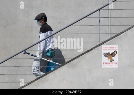 Kyoto, Japan. 7. März 2023. Ein Fensterputzer, der¬éƒ½é Kyoto Station die Treppe hinuntergeht, vorbei an einem Schild, das vor Falken warnte. Kyoto Station (ä° 2…) Wird von der West Japan Railway Company (JR West) betrieben und ist ein wichtiger Knotenpunkt für Bahnreisen in Kansai. Der Bahnhof ist gut angebunden und bietet eine breite Auswahl an Zugverbindungen, einschließlich der Hochgeschwindigkeitszüge Shinkansen, Orts- und Expresszüge sowie der JR Sagano Line und der Kintetsu Kyoto Line. Es bietet bequemen Zugang zu verschiedenen Zielen innerhalb der Präfektur Kyoto und darüber hinaus. Das Gebäude wurde vom Architekten Hiroshi Hara entworfen. Stockfoto