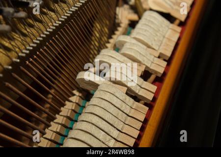 Eine Nahaufnahme der inneren Teile eines Klaviers oder Flügels. Selektiver Fokus. Details des Musikinstruments von innen. Hämmer und Schnüre rein Stockfoto