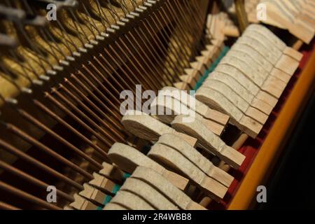 Eine Nahaufnahme der inneren Teile eines Klaviers oder Flügels. Selektiver Fokus. Details des Musikinstruments von innen. Hämmer und Schnüre rein Stockfoto