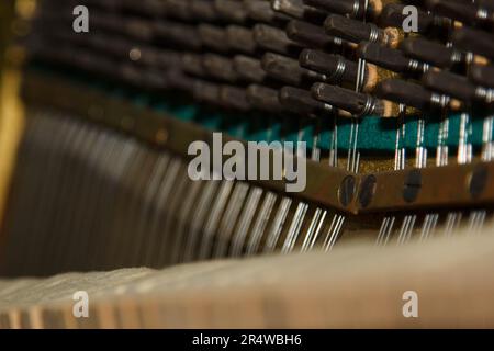 Eine Nahaufnahme der inneren Teile eines Klaviers oder Flügels. Selektiver Fokus. Details des Musikinstruments von innen. Hämmer und Schnüre rein Stockfoto