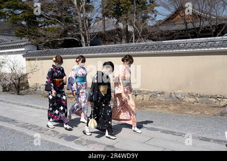 Kyoto, Japan. 7. März 2023. Frauen in traditionellem japanischem Kimono gehen in Richtung Arashiyama Bamboo Grove åµå±± c«¹æž-Ã å å¾„. Auch bekannt als „der Bambuswald“, eine beliebte Touristenattraktion auf dem Gelände des heiligen Nonomiya-jinja-Schreins é‡Žå®® c c žç¤¾. Kyoto (ä°¬éƒ½) ist eine historische Großstadt Japans, reich an kulturellem Erbe und traditionellem Charme. Bekannt für seine berühmten Tempel, malerischen Gärten und historischen Wahrzeichen wie Kinkaku-ji und Fushimi Inari Taisha, bietet Kyoto einen Einblick in Japans Vergangenheit. Die lebhaften Festivals, die exquisite Küche und die ruhige Atmosphäre fesseln die Besucher von Stockfoto