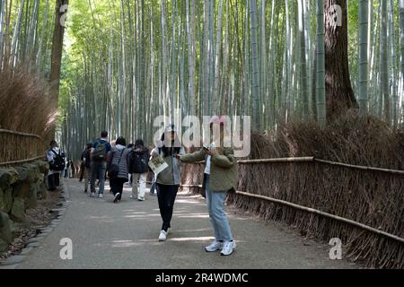 Kyoto, Japan. 7. März 2023. Viele Touristen, die im Arashiyama Bamboo Grove åµå±± c«¹æž-Ã å å¾„ im Urlaub Selfies sehen und fotografieren. Auch bekannt als „der Bambuswald“, eine beliebte Touristenattraktion auf dem Gelände des heiligen Nonomiya-jinja-Schreins é‡Žå®® c c žç¤¾. Kyoto (ä°¬éƒ½) ist eine historische Großstadt Japans, reich an kulturellem Erbe und traditionellem Charme. Bekannt für seine berühmten Tempel, malerischen Gärten und historischen Wahrzeichen wie Kinkaku-ji und Fushimi Inari Taisha, bietet Kyoto einen Einblick in Japans Vergangenheit. Seine lebhaften Festivals, exquisite Küche und ruhige Atmosphäre c Stockfoto