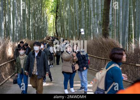 Kyoto, Japan. 7. März 2023. Viele Touristen, die im Arashiyama Bamboo Grove åµå±± c«¹æž-Ã å å¾„ im Urlaub Selfies sehen und fotografieren. Auch bekannt als „der Bambuswald“, eine beliebte Touristenattraktion auf dem Gelände des heiligen Nonomiya-jinja-Schreins é‡Žå®® c c žç¤¾. Kyoto (ä°¬éƒ½) ist eine historische Großstadt Japans, reich an kulturellem Erbe und traditionellem Charme. Bekannt für seine berühmten Tempel, malerischen Gärten und historischen Wahrzeichen wie Kinkaku-ji und Fushimi Inari Taisha, bietet Kyoto einen Einblick in Japans Vergangenheit. Seine lebhaften Festivals, exquisite Küche und ruhige Atmosphäre c Stockfoto