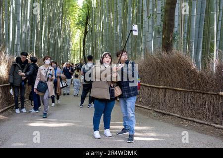 Kyoto, Japan. 7. März 2023. Viele Touristen, die im Arashiyama Bamboo Grove åµå±± c«¹æž-Ã å å¾„ im Urlaub Selfies sehen und fotografieren. Auch bekannt als „der Bambuswald“, eine beliebte Touristenattraktion auf dem Gelände des heiligen Nonomiya-jinja-Schreins é‡Žå®® c c žç¤¾. Kyoto (ä°¬éƒ½) ist eine historische Großstadt Japans, reich an kulturellem Erbe und traditionellem Charme. Bekannt für seine berühmten Tempel, malerischen Gärten und historischen Wahrzeichen wie Kinkaku-ji und Fushimi Inari Taisha, bietet Kyoto einen Einblick in Japans Vergangenheit. Seine lebhaften Festivals, exquisite Küche und ruhige Atmosphäre c Stockfoto