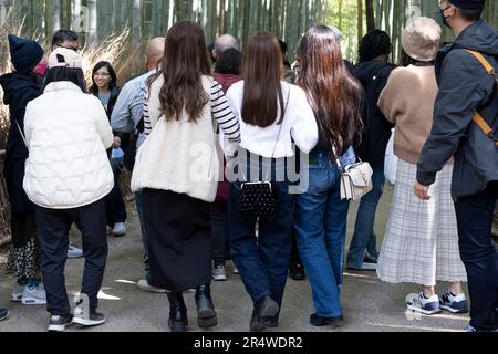 Kyoto, Japan. 7. März 2023. Viele Touristen, die im Arashiyama Bamboo Grove åµå±± c«¹æž-Ã å å¾„ im Urlaub Selfies sehen und fotografieren. Auch bekannt als „der Bambuswald“, eine beliebte Touristenattraktion auf dem Gelände des heiligen Nonomiya-jinja-Schreins é‡Žå®® c c žç¤¾. Kyoto (ä°¬éƒ½) ist eine historische Großstadt Japans, reich an kulturellem Erbe und traditionellem Charme. Bekannt für seine berühmten Tempel, malerischen Gärten und historischen Wahrzeichen wie Kinkaku-ji und Fushimi Inari Taisha, bietet Kyoto einen Einblick in Japans Vergangenheit. Seine lebhaften Festivals, exquisite Küche und ruhige Atmosphäre c Stockfoto