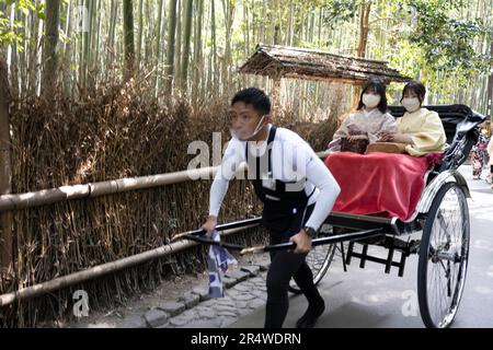 7. März 2023, Kyoto, Japan: Frauen åµå±± traditionellen japanischen Kimonos, die während des Urlaubs eine Fahrt von einer Rikscha in Arashiyama Bamboo Grove«¹æž – Ã å å¾„ machen. Auch bekannt als „der Bambuswald“, eine beliebte Touristenattraktion auf dem Gelände des heiligen Nonomiya-jinja-Schreins é‡Žå® c žç¤¾...Kyoto (ä°¬éƒ½) ist eine historische Großstadt Japans, reich an kulturellem Erbe und traditionellem Charme. Bekannt für seine berühmten Tempel, malerischen Gärten und historischen Wahrzeichen wie Kinkaku-ji und Fushimi Inari Taisha, bietet Kyoto einen Einblick in Japans Vergangenheit. Seine lebhaften Festivals, exquisite Küche und ser Stockfoto