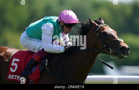 Aktenfoto von 27-05-2023 von Covey, der wahrscheinlich entweder bei den Jersey Stakes oder bei den Britannia bei Royal Ascot antritt, nachdem er am Samstag in Haydock leicht gewonnen hat. Ausgabedatum: Dienstag, 30. Mai 2023. Stockfoto