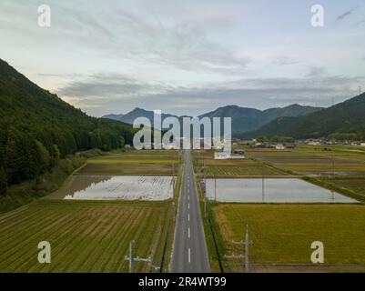 Gerade offene Straße durch Reisfelder in ländlicher japanischer Berglandschaft Stockfoto