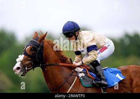 Manitou, geritten von Jockey Hollie Doyle, gewinnt den Gewinn aus Racing TV zurück an Racing und beansprucht Einsätze auf der Rennbahn Leicester, Oadby. Foto: Dienstag, 30. Mai 2023. Stockfoto