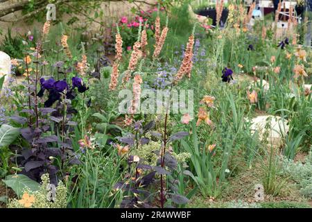 Der Choose Love Show Garden auf der RHS Chelsea 2023, Foto 4052 Stockfoto