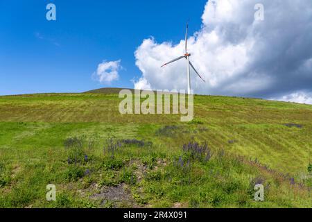 Die Mottbruchhalde, Windturbine, Hub-Höhe 131 Meter, Typ Enercon E-138, Gladbeck, NRW, Deutschland, Stockfoto