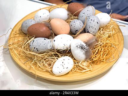 Rohes Bio-Hühnchen und anderes Geflügel applaudieren Eier auf einem Holzteller Stockfoto