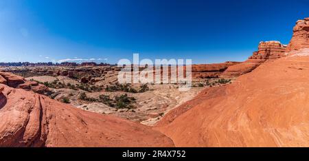 Weitläufige Sandsteinfelsen im Needles District of Canyonlands National Park mit Blick auf Devil's Kitchen, Vereinigte Staaten von Amerika Stockfoto