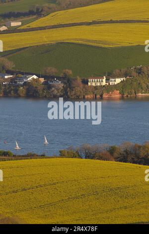 Malerisches Ackerland auf sanften Hügeln mit Segelbooten und Häusern am Ufer der Mündung des Teign, in der Nähe der Stadt Teignmou... Stockfoto